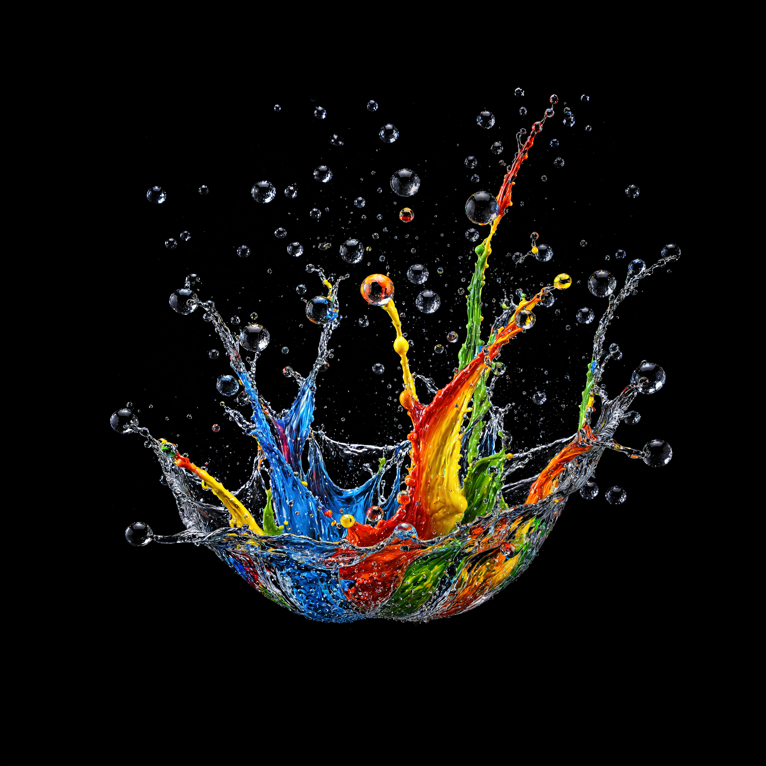Color spalsh 23
